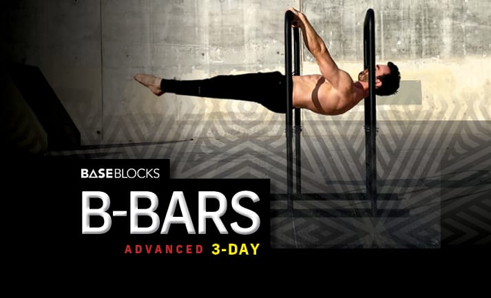 THE ADVANCED B-BARS PROGRAM (3D) – BASEBLOCKS DIGITAL