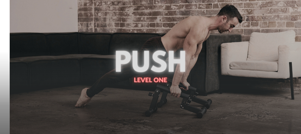 THE PUSH PROGRAM I